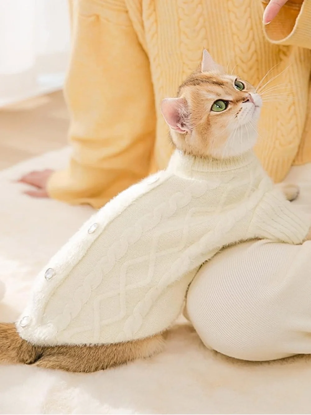 Cream Cable-Knit Cat Sweater with Pearl Button Accents